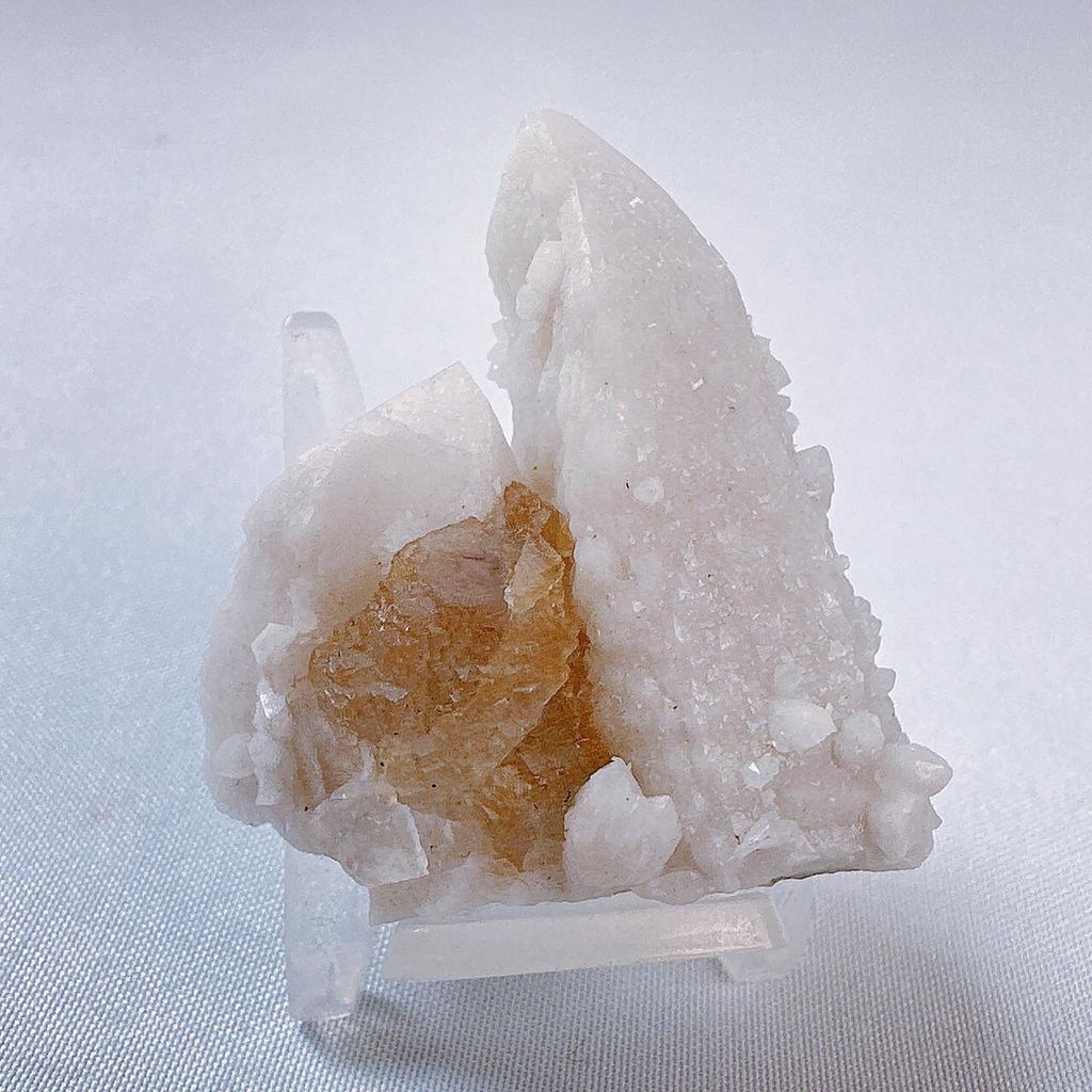 LINE_ALBUM_2024110_240110_42