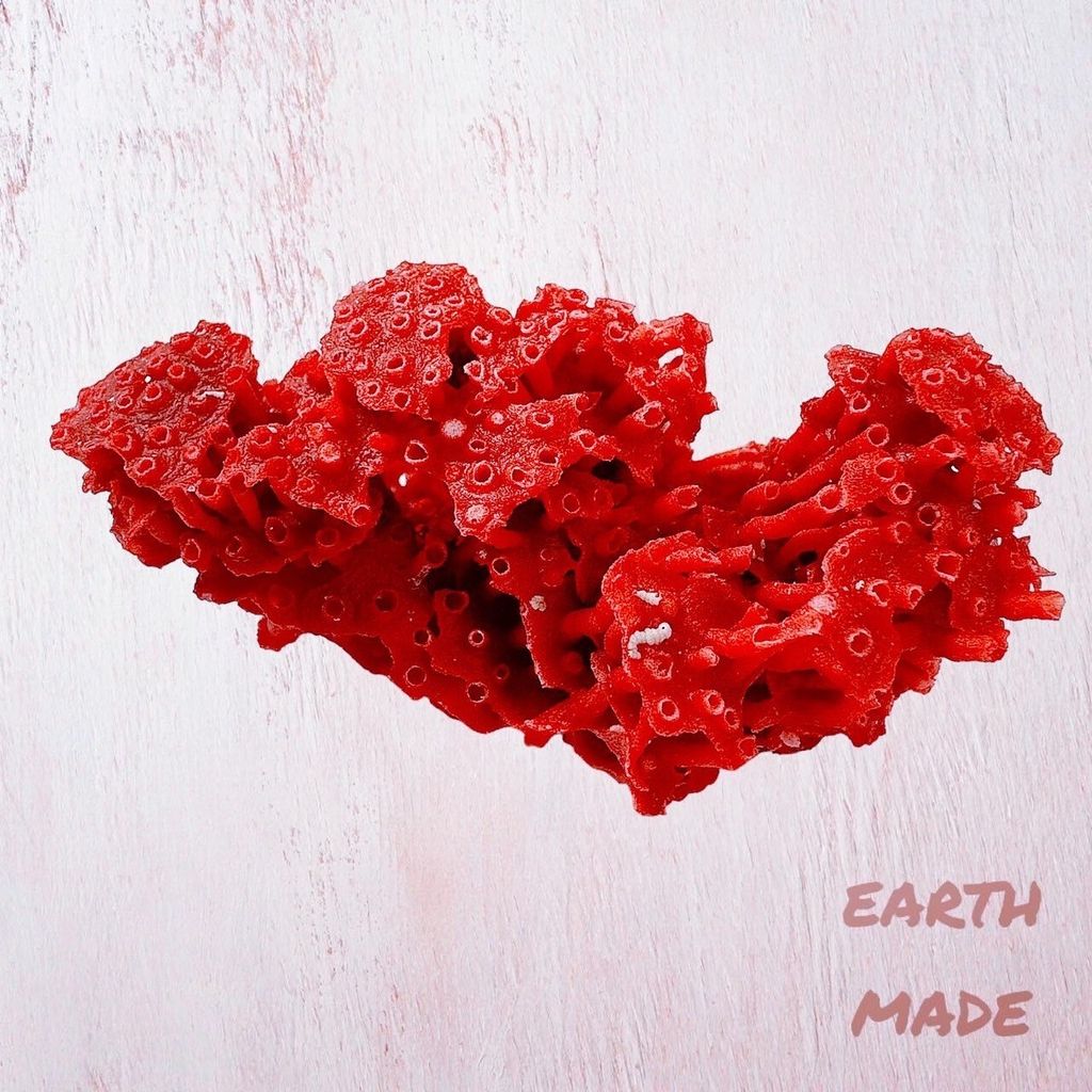 LINE_ALBUM_2024110_240110_35