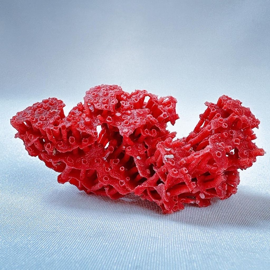 LINE_ALBUM_2024110_240110_34