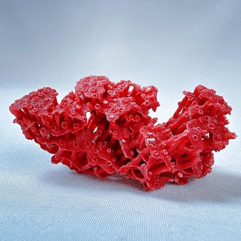 LINE_ALBUM_2024110_240110_34