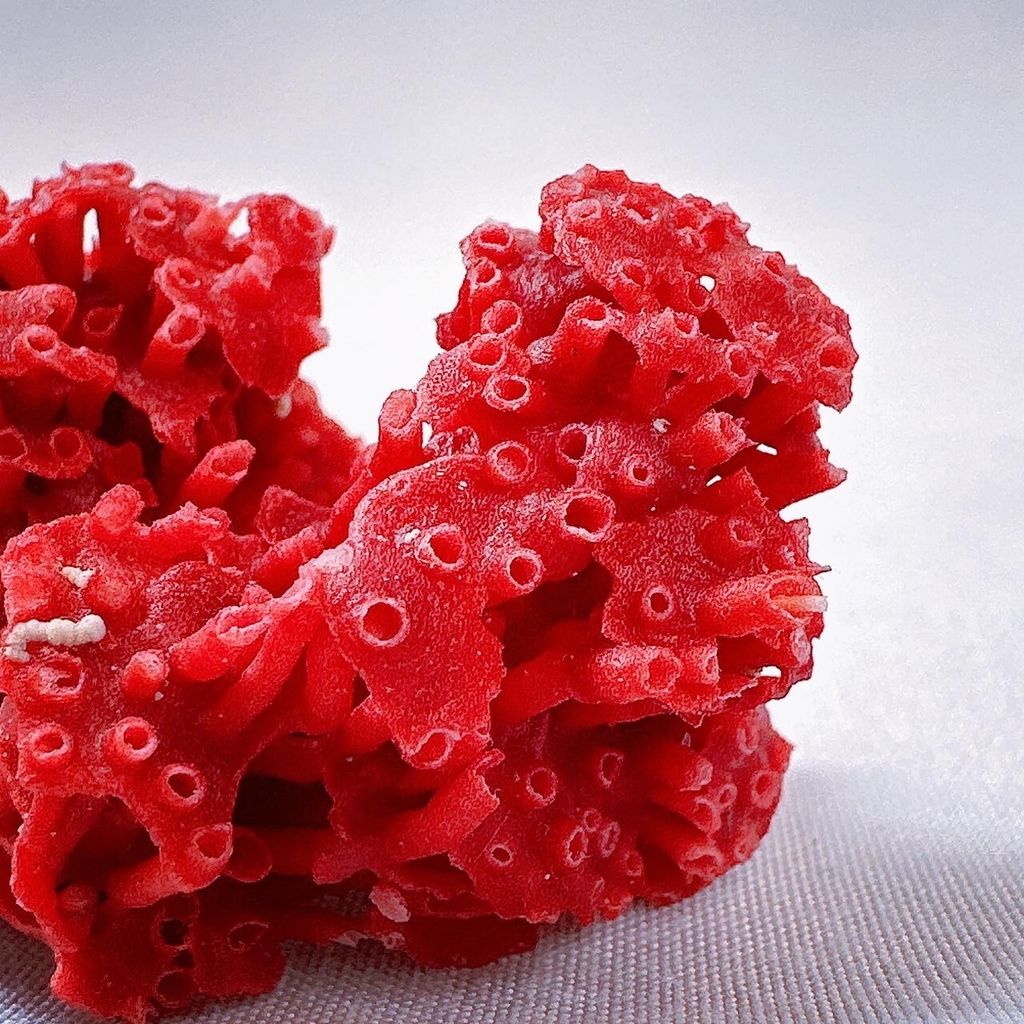 LINE_ALBUM_2024110_240110_32