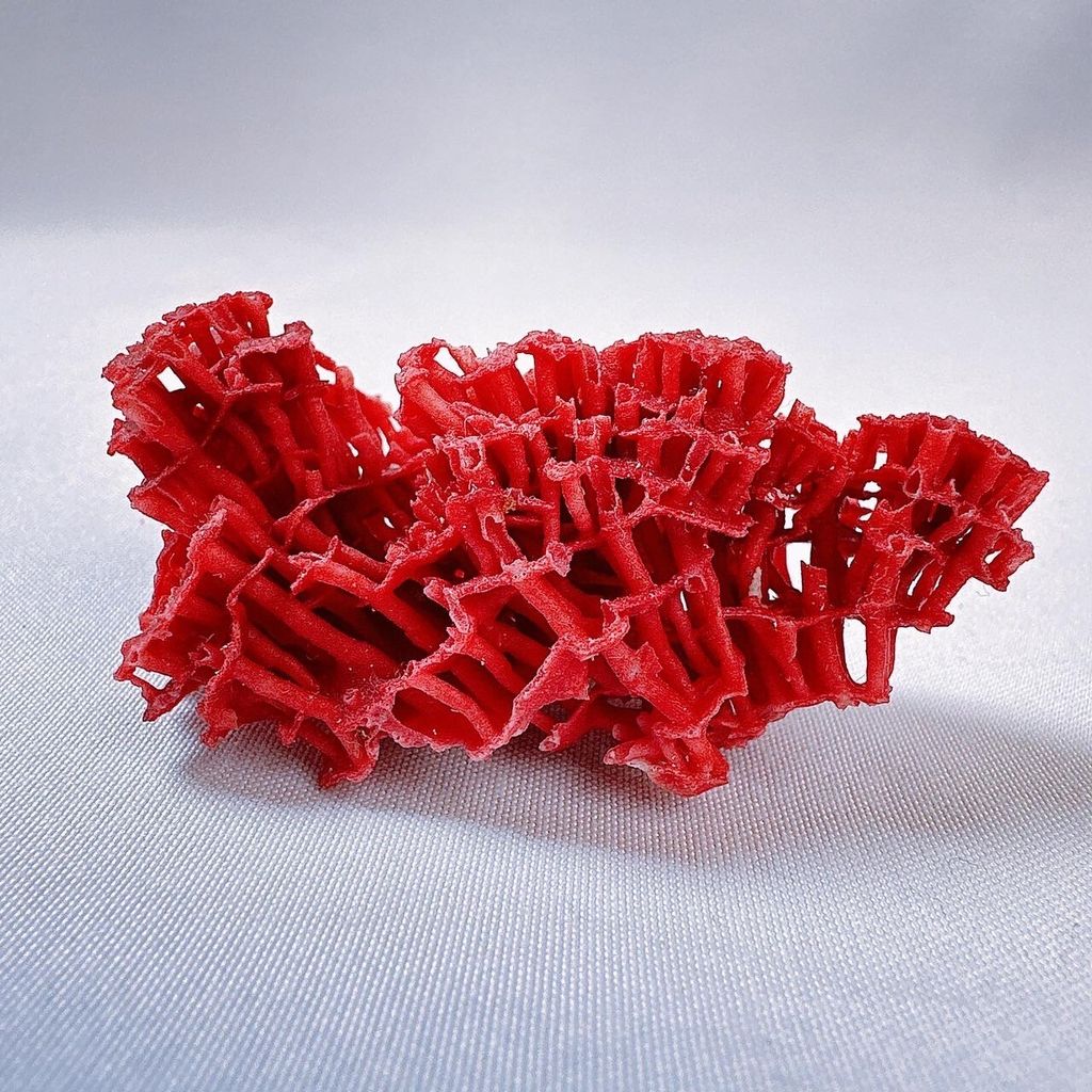 LINE_ALBUM_2024110_240110_33