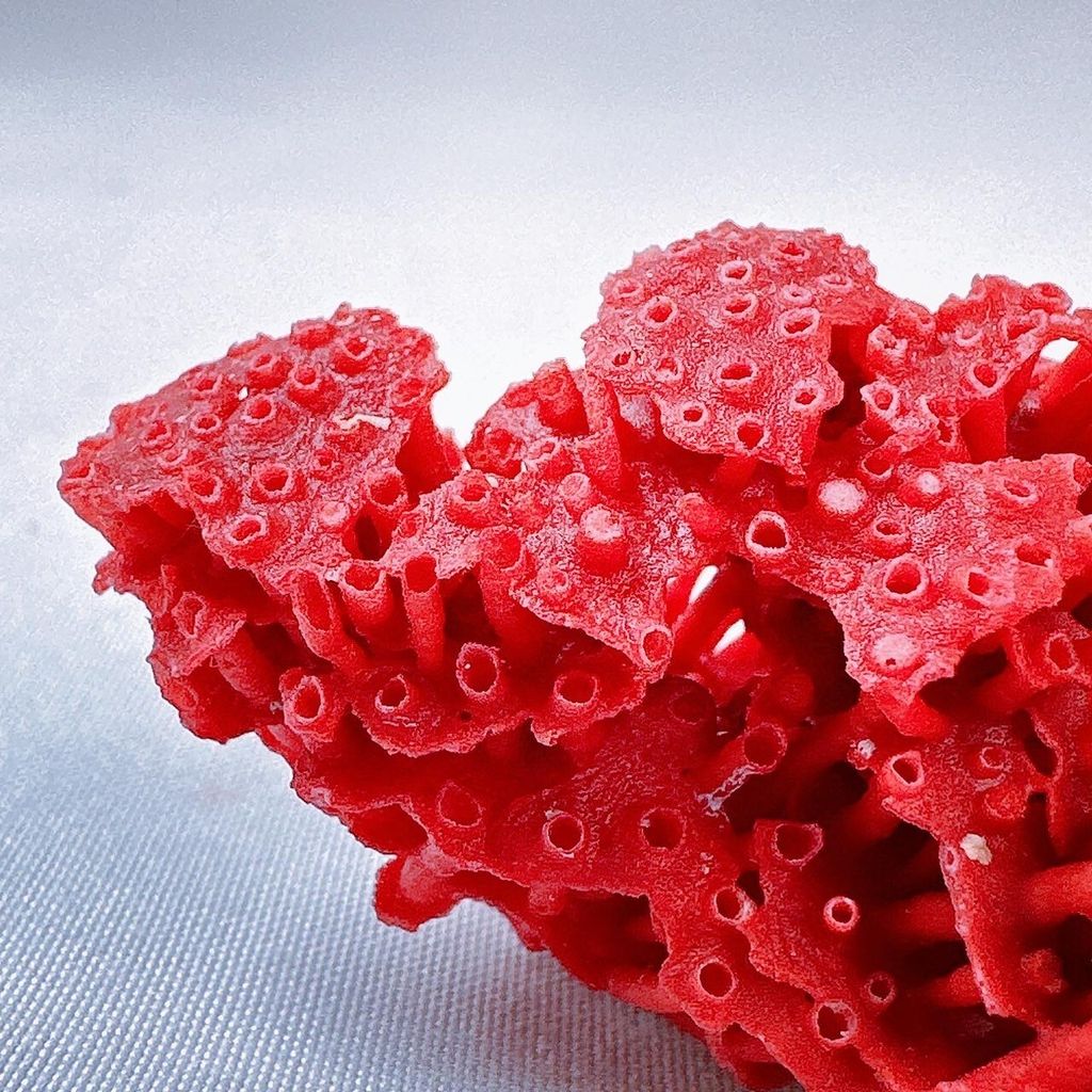 LINE_ALBUM_2024110_240110_31