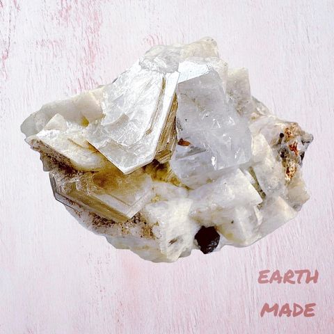 LINE_ALBUM_2024110_240110_25