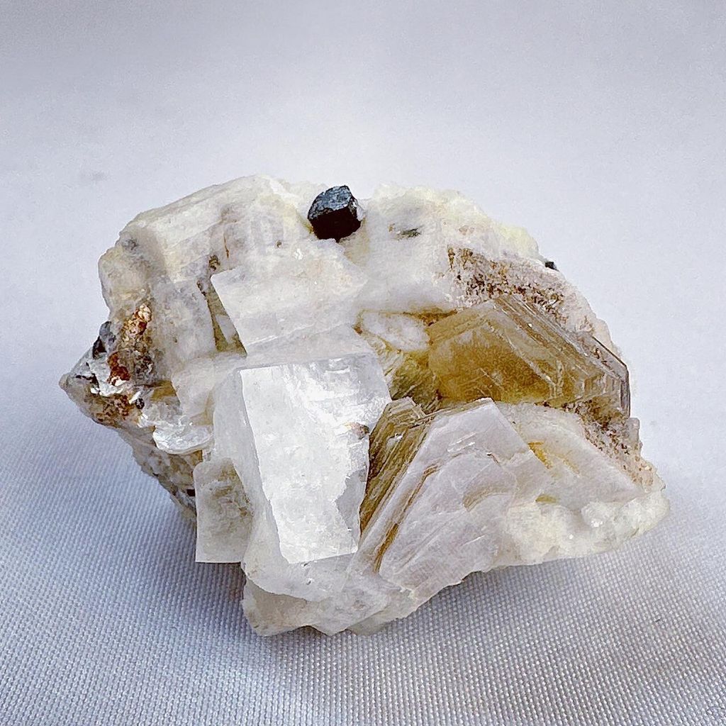 LINE_ALBUM_2024110_240110_24