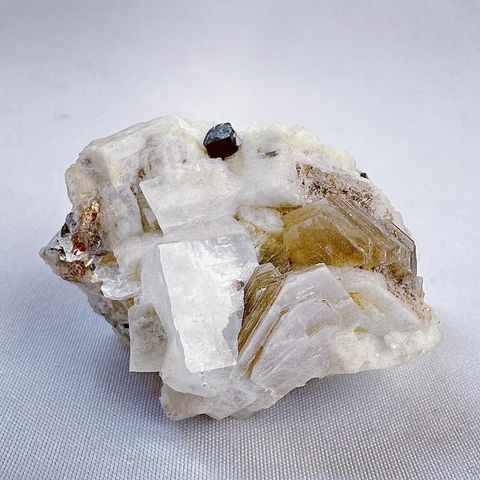 LINE_ALBUM_2024110_240110_24