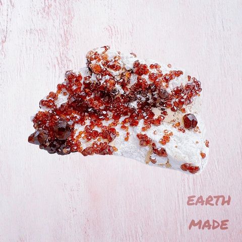 LINE_ALBUM_2024111_240111_16