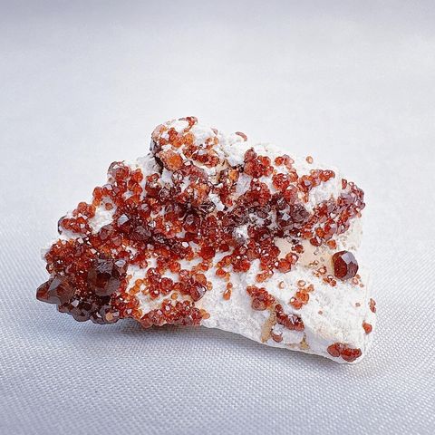 LINE_ALBUM_2024111_240111_15