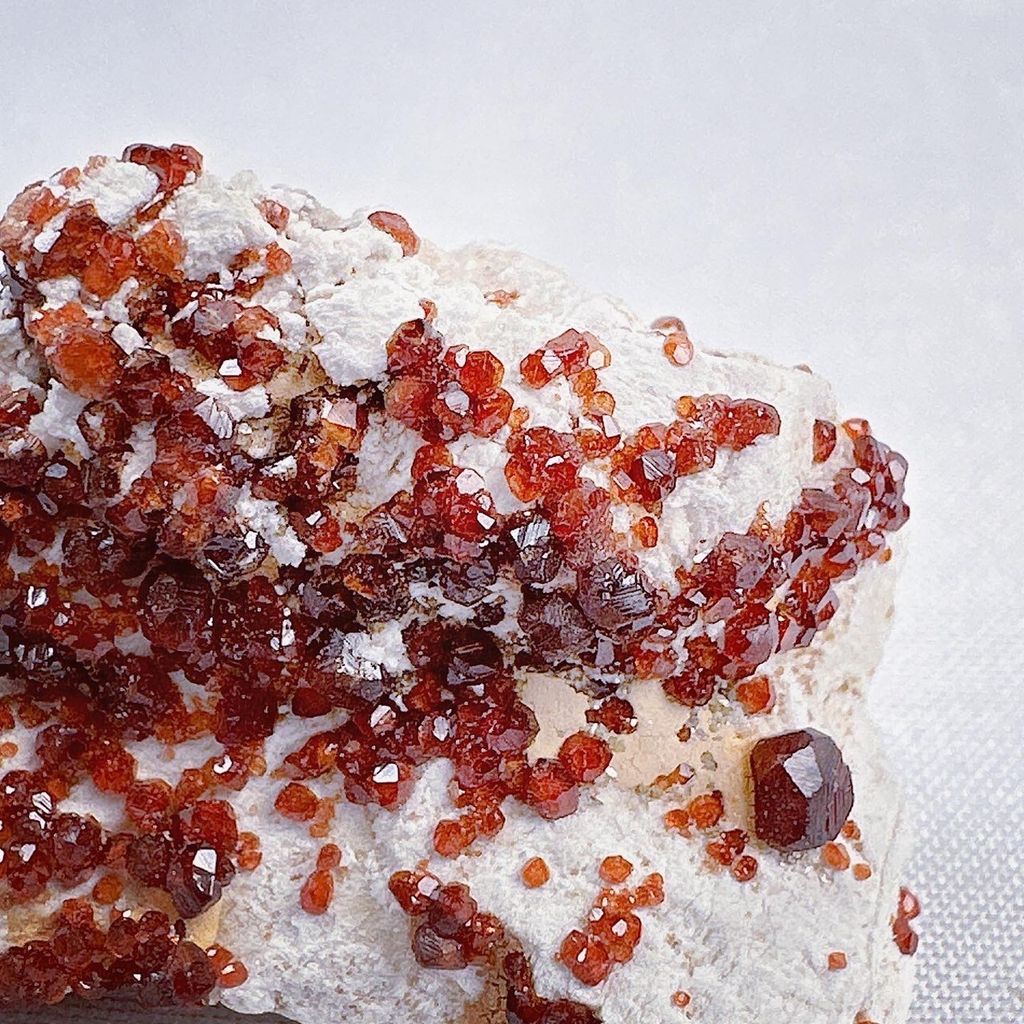 LINE_ALBUM_2024111_240111_12