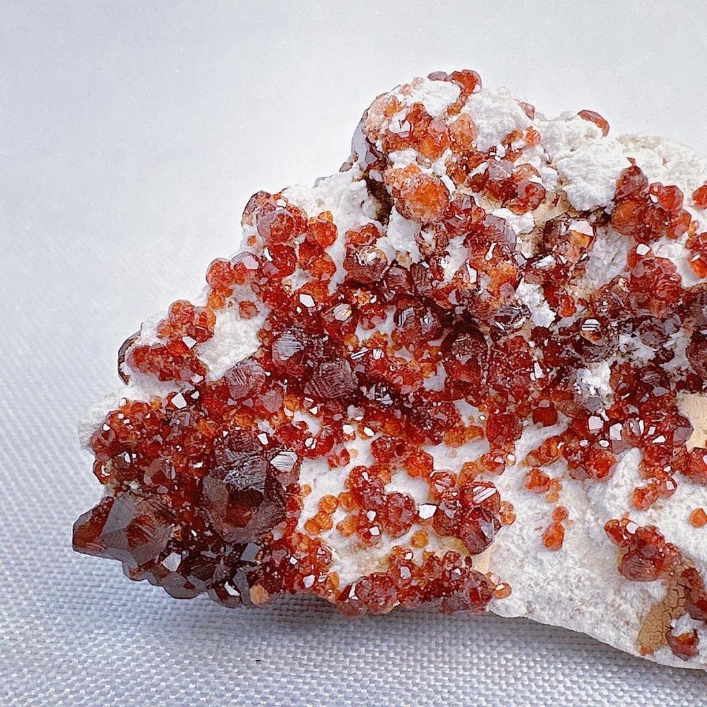 LINE_ALBUM_2024111_240111_13