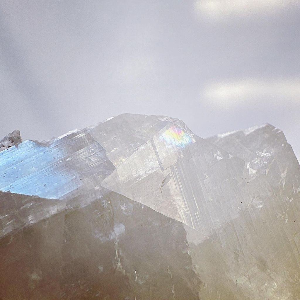 LINE_ALBUM_2024111_240111_49