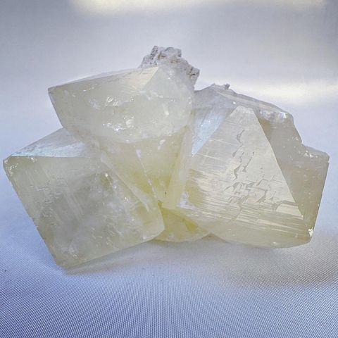 LINE_ALBUM_2024111_240111_51