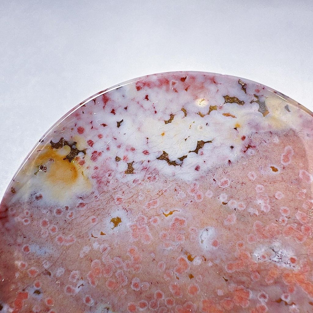 LINE_ALBUM_2024111 _1_240111_16