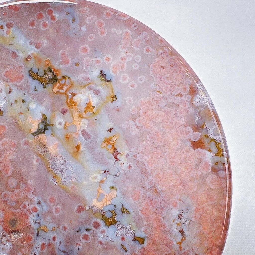 LINE_ALBUM_2024111 _1_240111_17