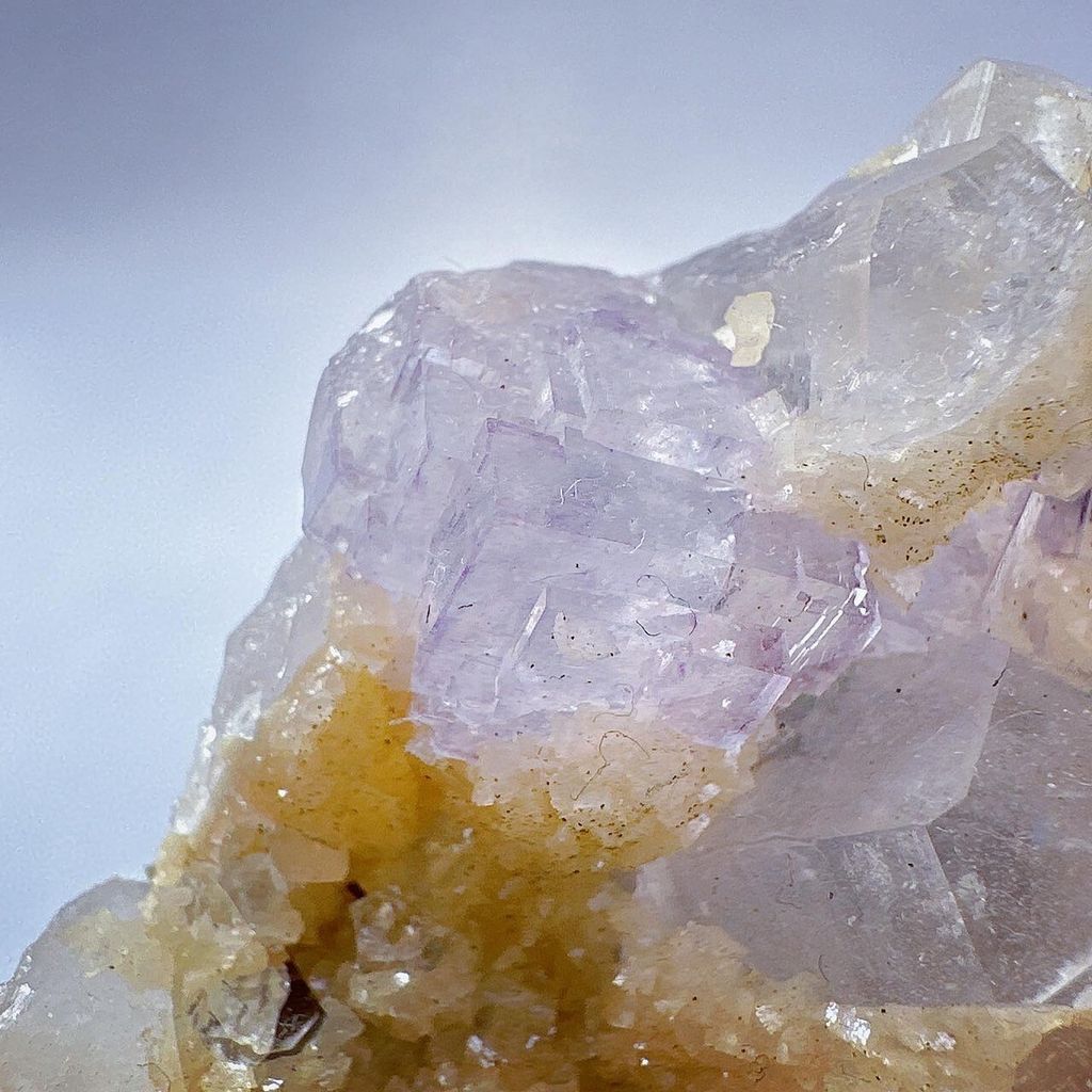 LINE_ALBUM_2024111 _1_240111_44