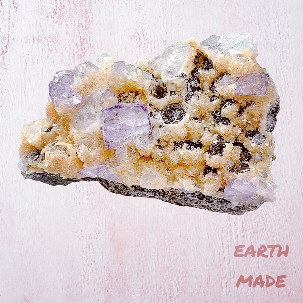 LINE_ALBUM_2024111 _1_240111_46