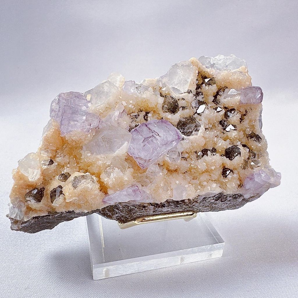 LINE_ALBUM_2024111 _1_240111_45