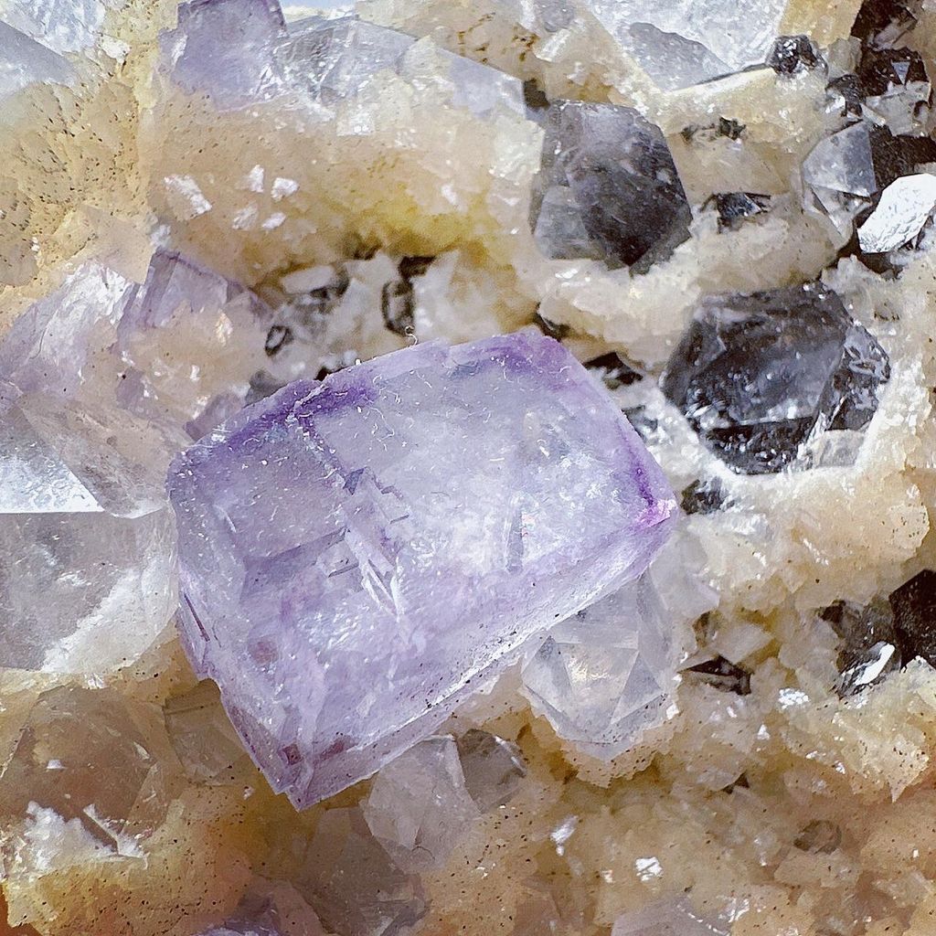 LINE_ALBUM_2024111 _1_240111_43