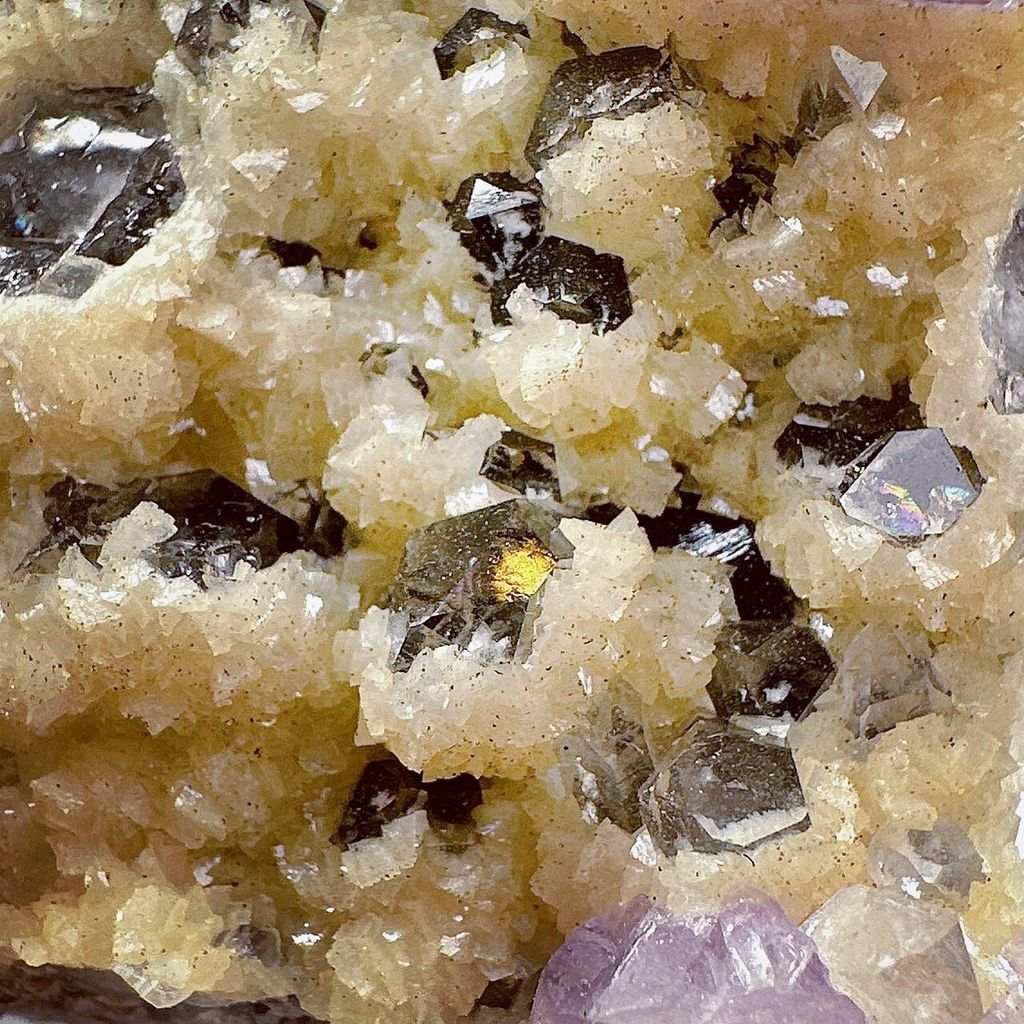 LINE_ALBUM_2024111 _1_240111_42