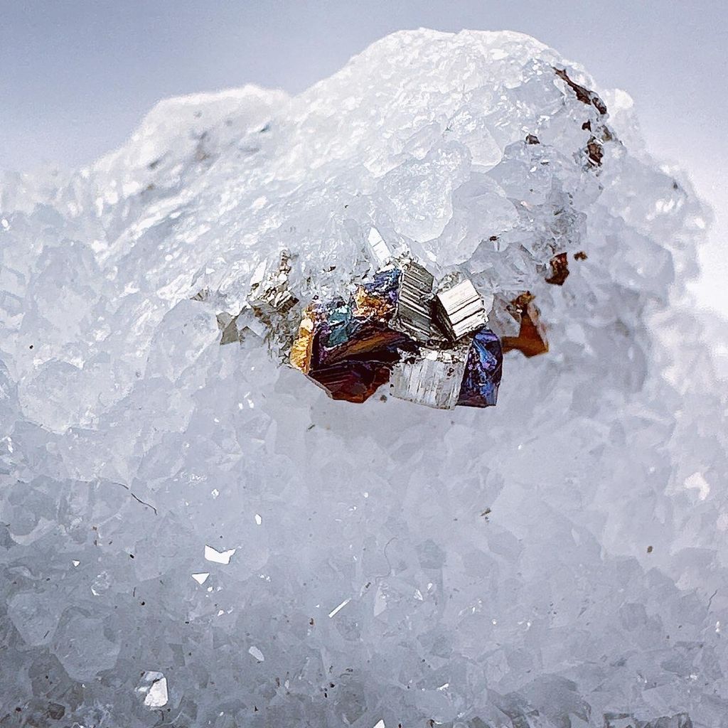 LINE_ALBUM_2024111 _1_240111_26