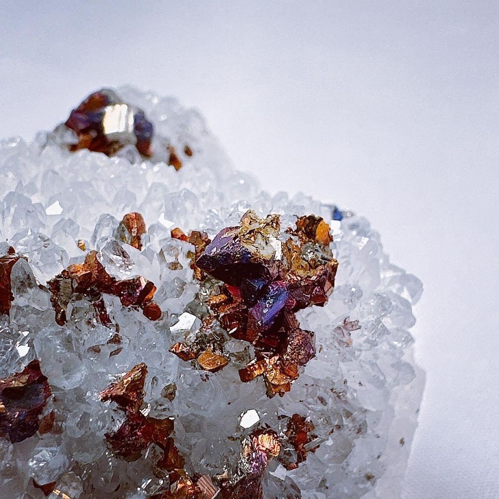 LINE_ALBUM_2024111 _1_240111_27