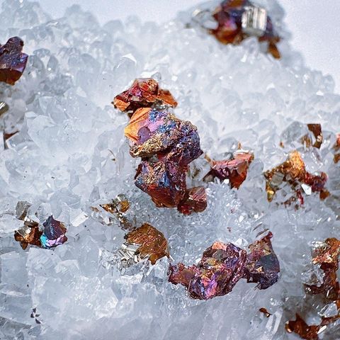 LINE_ALBUM_2024111 _1_240111_29