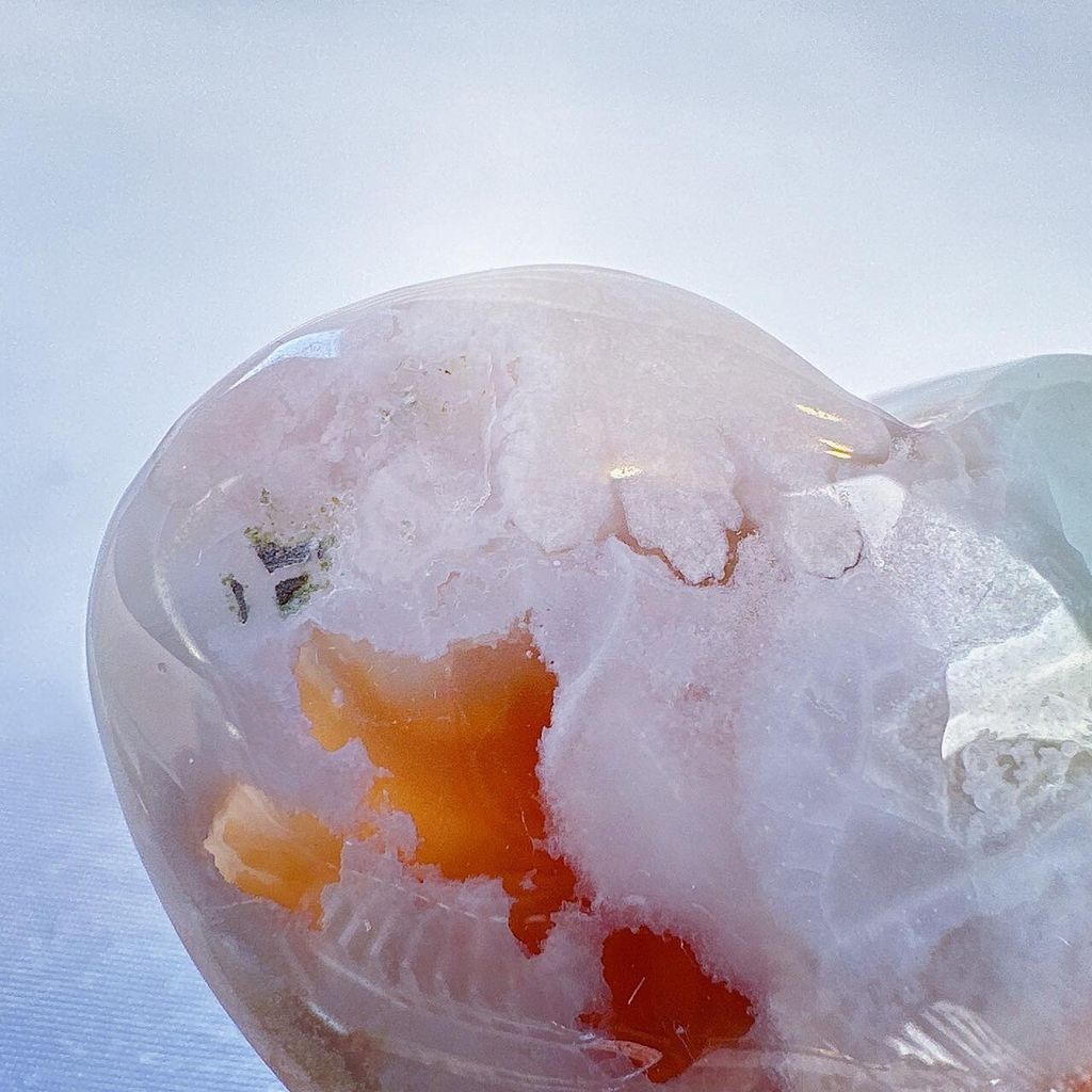 LINE_ALBUM_2024111 _2_240111_21