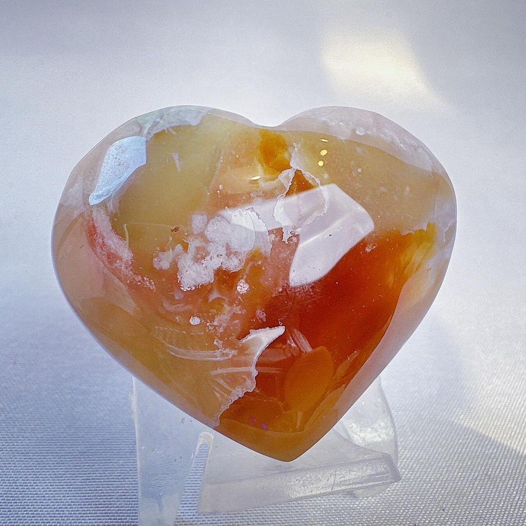 LINE_ALBUM_2024111 _2_240111_22