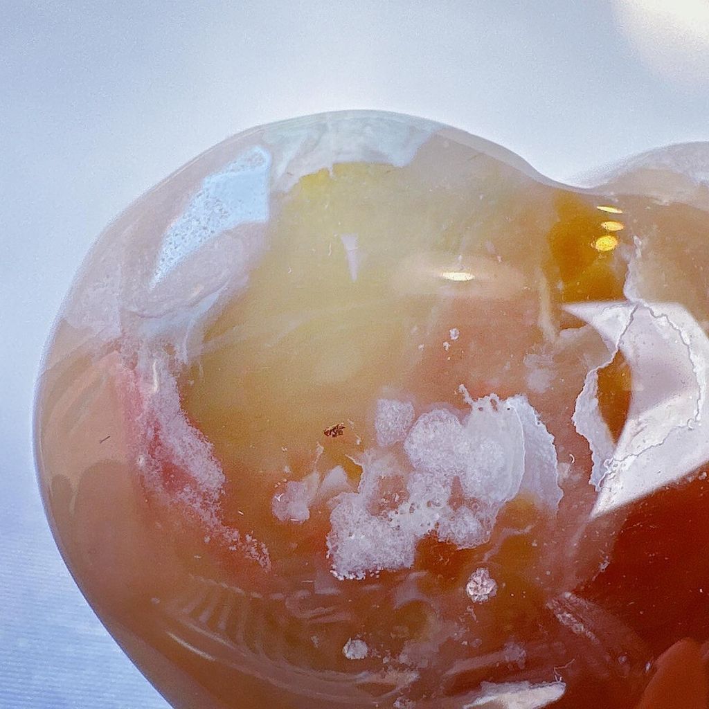 LINE_ALBUM_2024111 _2_240111_19