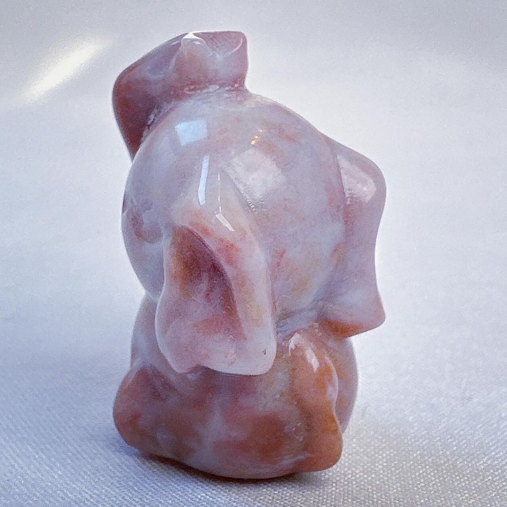 LINE_ALBUM_2024111 _2_240111_15