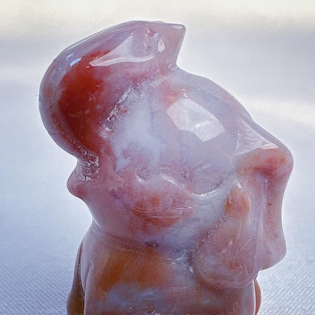 LINE_ALBUM_2024111 _2_240111_14