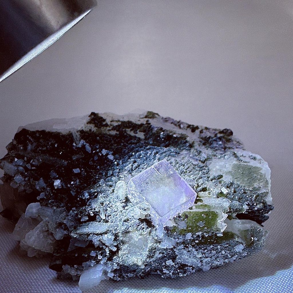 LINE_ALBUM_2024117_240117_23