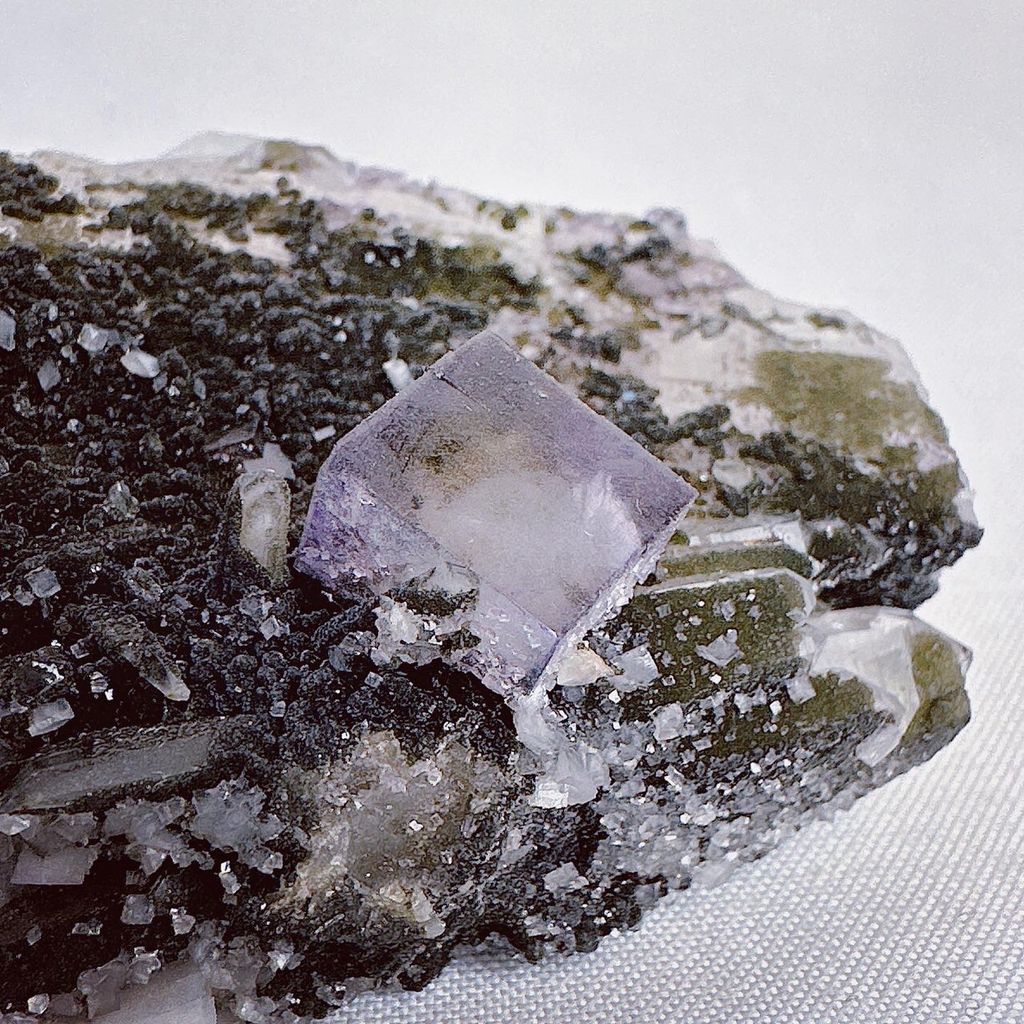 LINE_ALBUM_2024117_240117_25