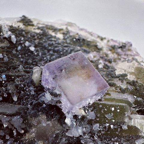 LINE_ALBUM_2024117_240117_26