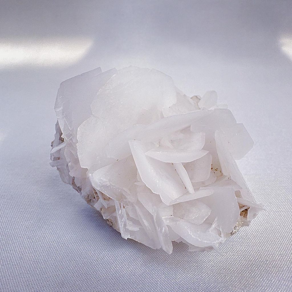 LINE_ALBUM_2024117_240117_42