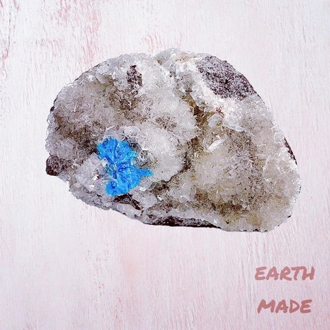 LINE_ALBUM_2024117_240117_40