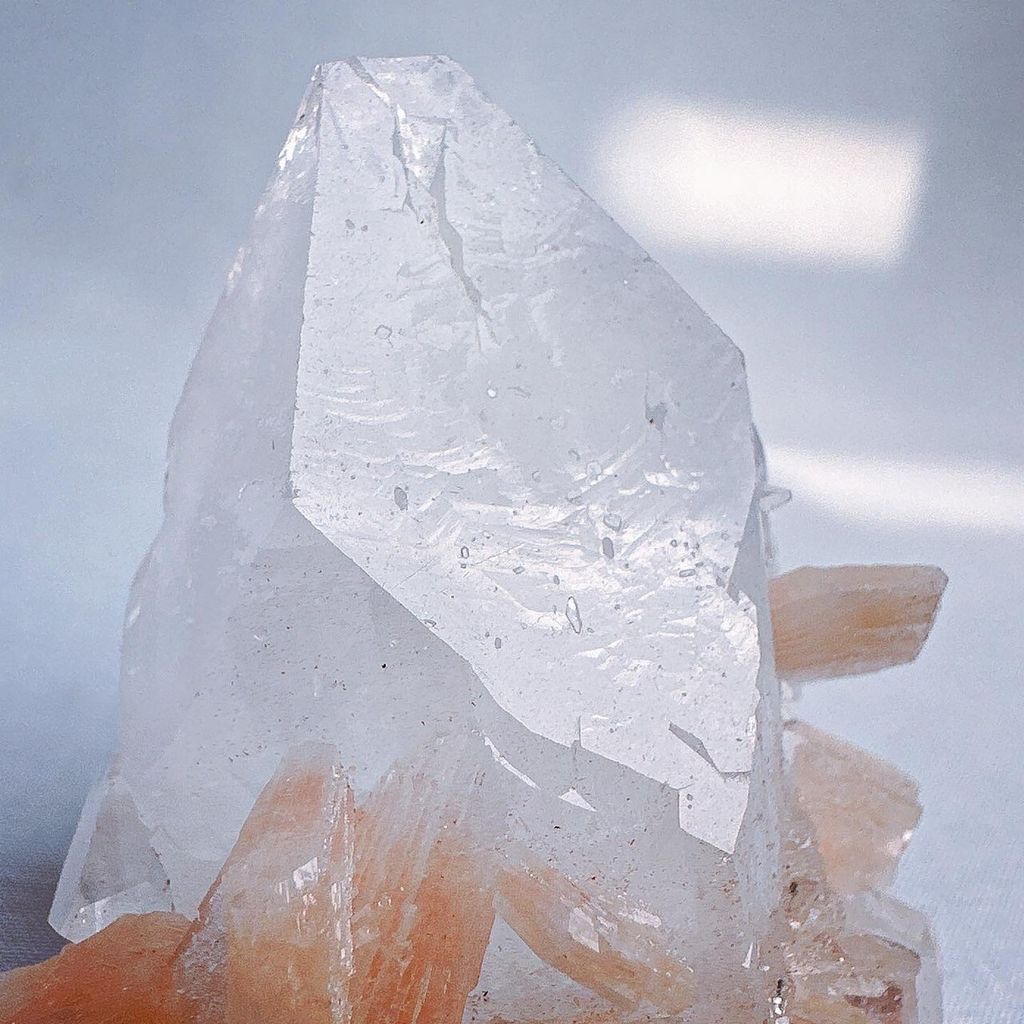 LINE_ALBUM_2024117_240117_13