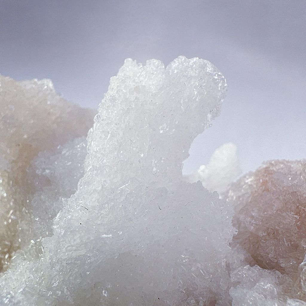 LINE_ALBUM_2024126_240126_12