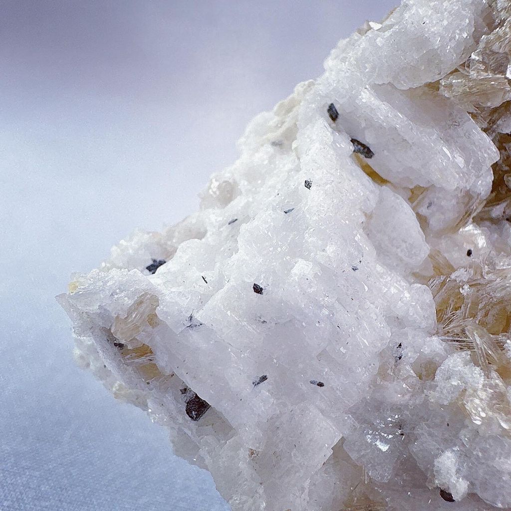 LINE_ALBUM_2024129_240129_1