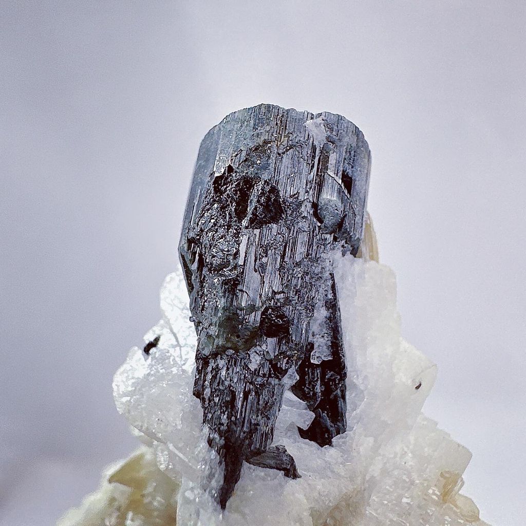 LINE_ALBUM_2024129_240129_2