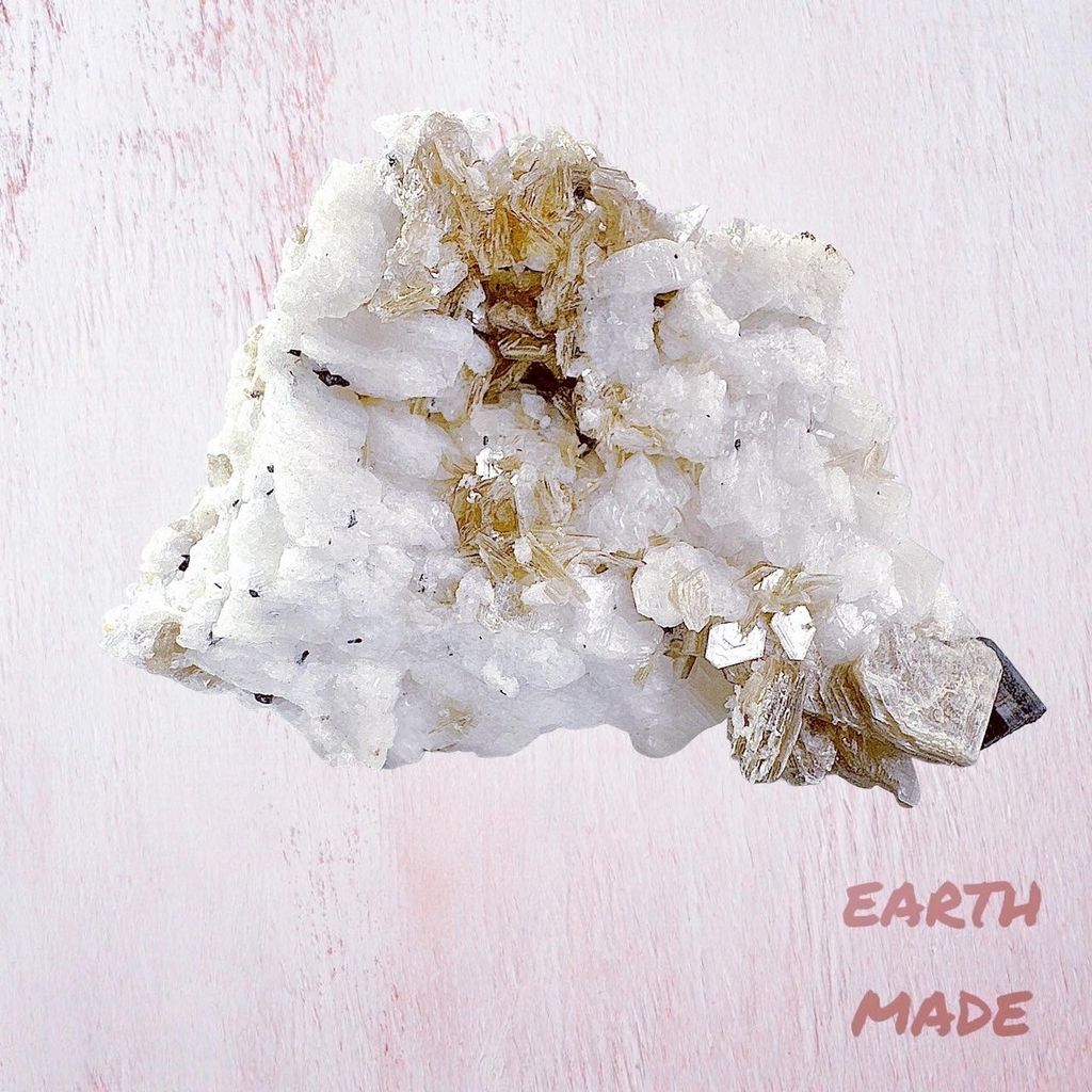 LINE_ALBUM_2024129_240129_5