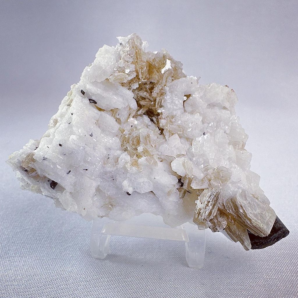 LINE_ALBUM_2024129_240129_4