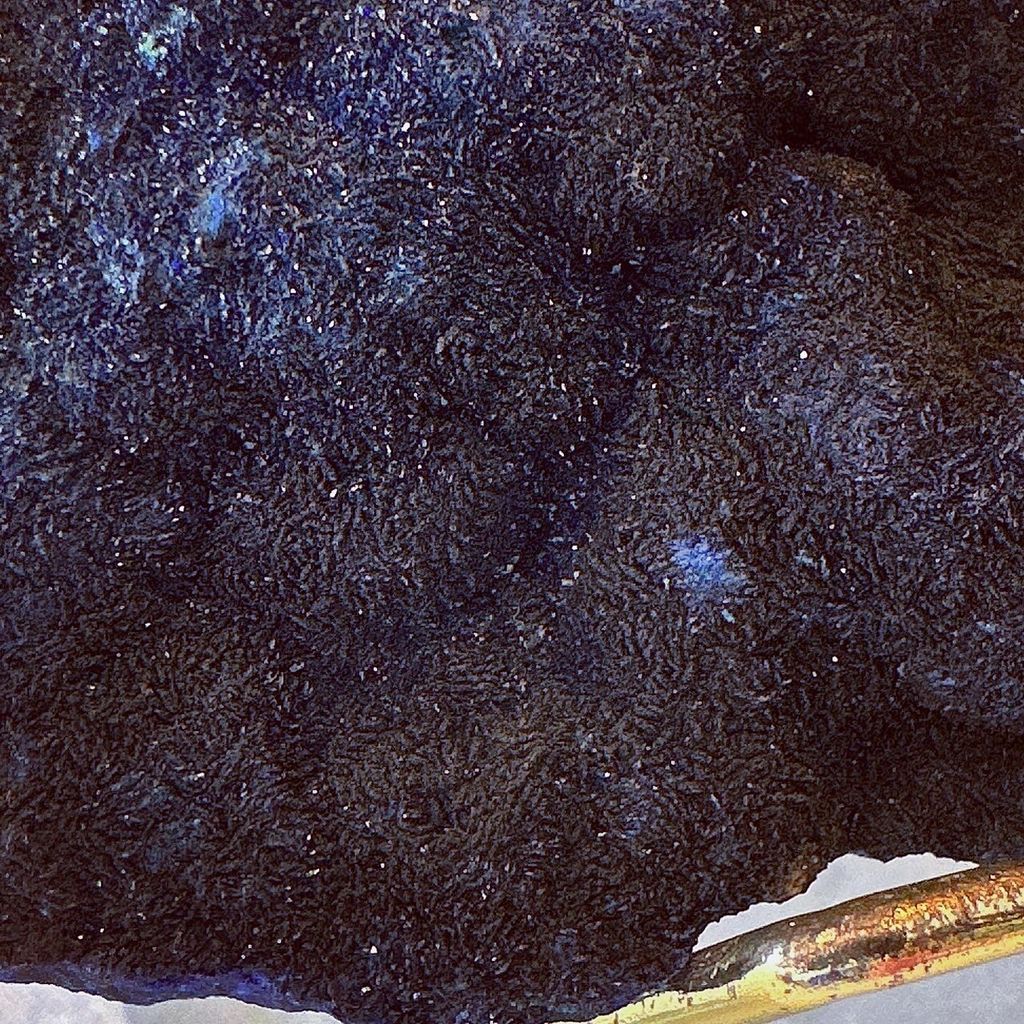 LINE_ALBUM_2024129_240129_6