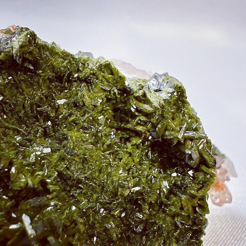 LINE_ALBUM_2024214_240214_6