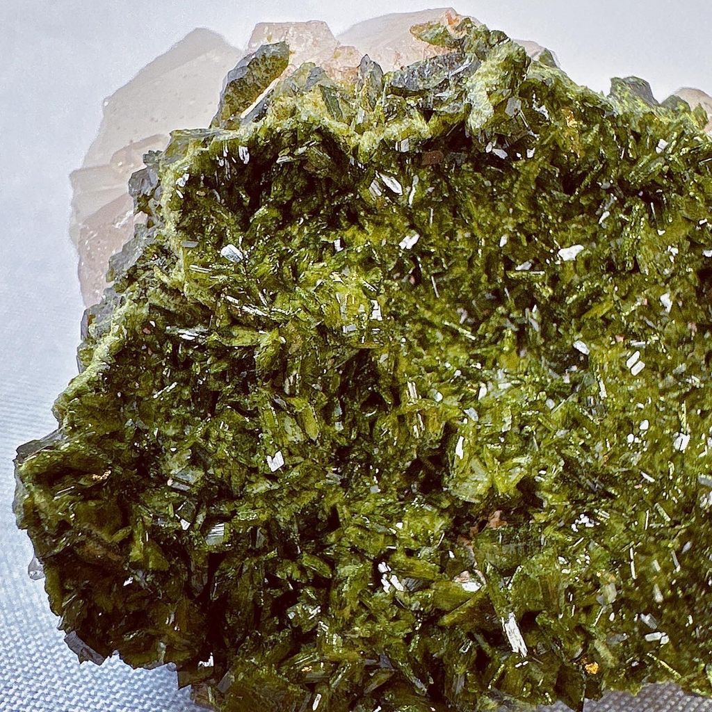 LINE_ALBUM_2024214_240214_5