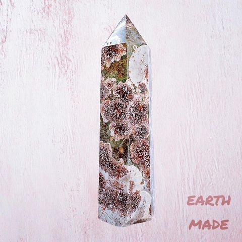 LINE_ALBUM_2024215_240215_16