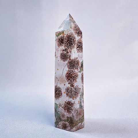 LINE_ALBUM_2024215_240215_15