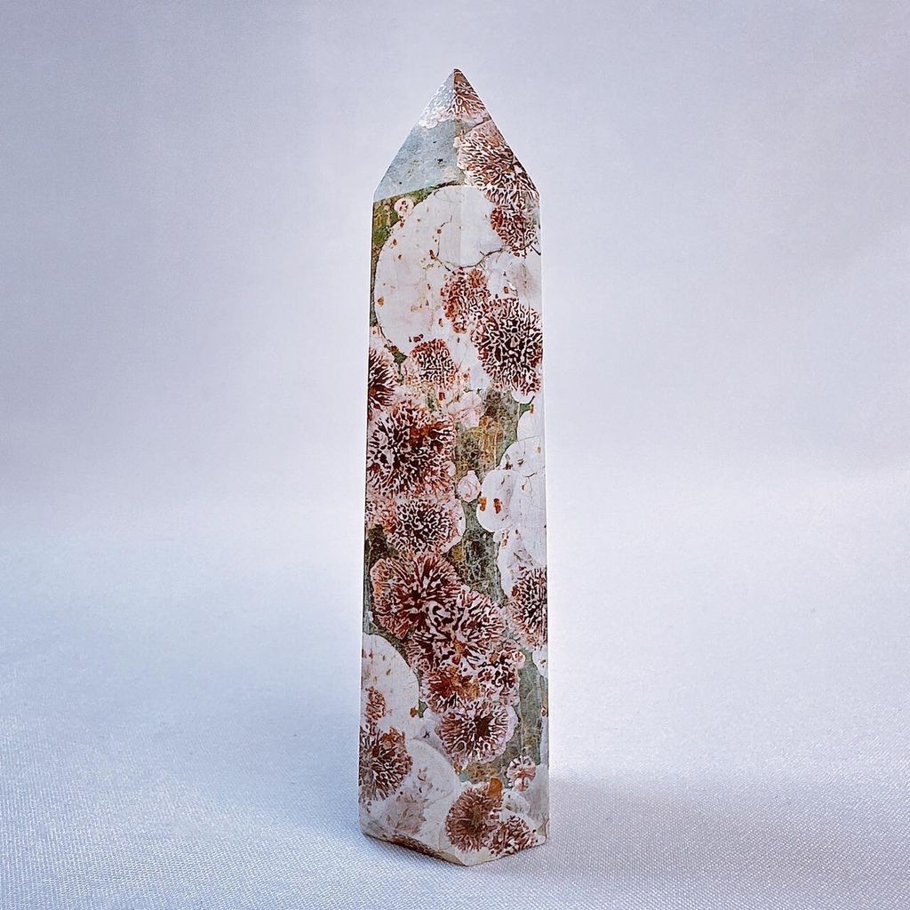 LINE_ALBUM_2024215_240215_14