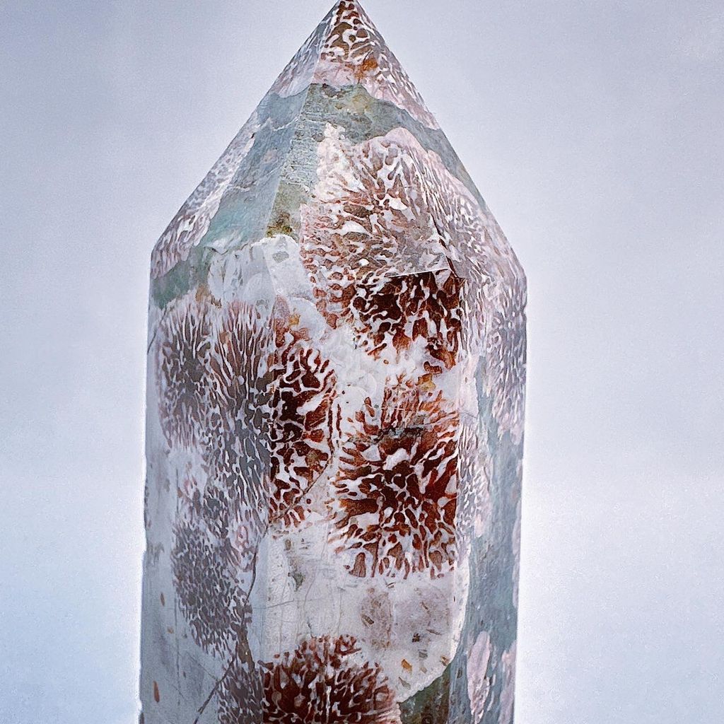 LINE_ALBUM_2024215_240215_12