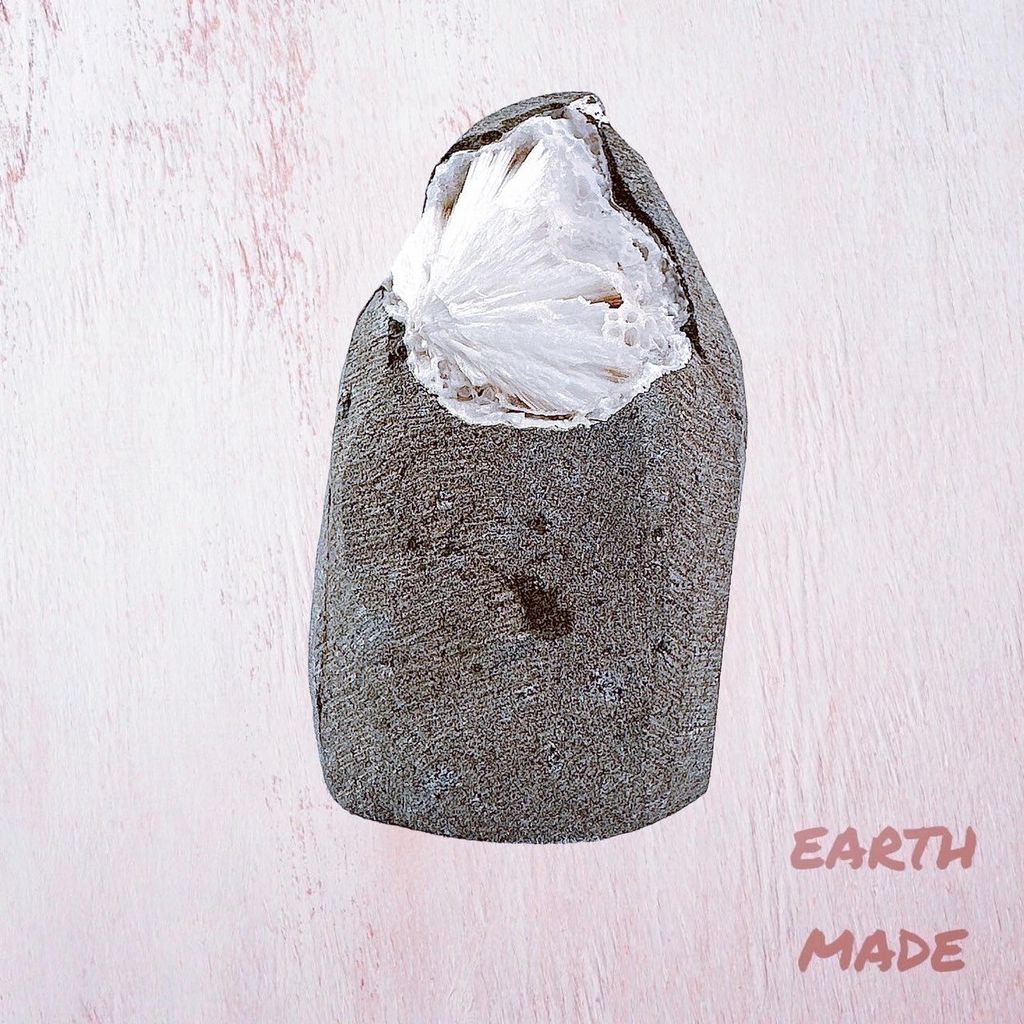 LINE_ALBUM_2024222_240222_49